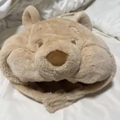東京ディズニーリゾート くまのプーさん ファンキャップ