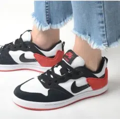 24㎝　Nike SB アリウープ GS CJ0883-102