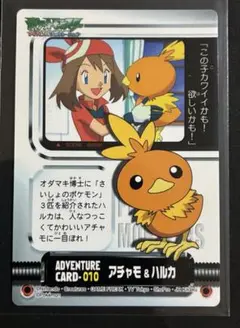 ポケットモンスター アドバンスジェネレーション 「ケムッソ＆ハルカ