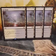 【毎日発送】日本語　無声開拓地　4枚セット　MTG
