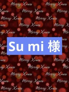 Su mi 12/24~1/6休み様専用