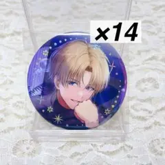 Twinkle gifts ウィンターデート 缶バッジ エクス・アルビオ 14点