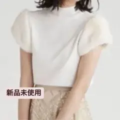 CELFORD ショートファースリーブニットプルオーバー オフホワイト USAGI ONLINE10周年限定カラーあり】ショートファースリーブ