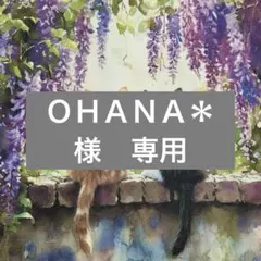 ＯＨＡＮＡ＊様　専用