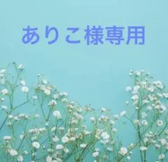 ありこ様専用