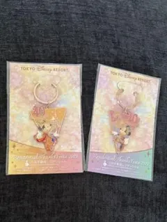 東京ディズニーリゾート 40周年 キーホルダー 2種セット