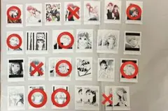 yu様専用☆ピンクとハバネロ　はしゃこれ