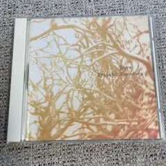 Ryuichi Kawamura Love CD 1997