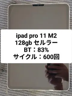 iPadPro 11インチ M2 128GB セルラー 美品 純正キーボード付き iPadPro 11インチ M2 128GB セルラー 美品 純正キーボード付き - メルカリ
