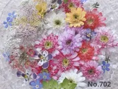 マトリカリア　ドライフラワー　詰め合わせ　No.702