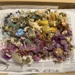 ドライフラワー詰め合わせセット