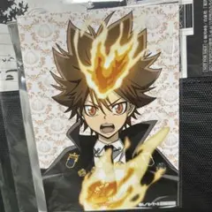 家庭教師ヒットマンREBORN！ アクリルバッジ 第2弾 沢田綱吉 - メルカリ