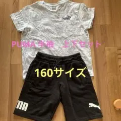 PUMA 上下セット　半袖　ハーフパンツ