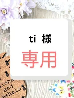 ti 様　専用ページ