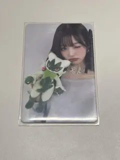 Item thumbnail for item 308dd5a8-a6fd-4b5b-9b51-44a11bac90fb