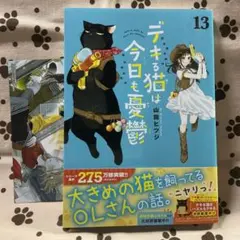 デキる猫は今日も憂鬱(13)のサムネイル
