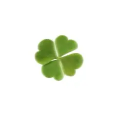 フクさま　専用ページ