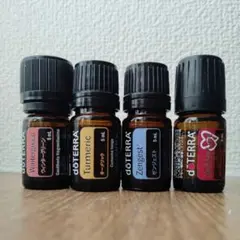 2026年最新】doterraホリデーラブの人気アイテム - メルカリ