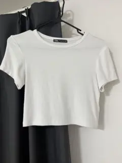 ZARA 半袖 クロップド丈 トップス ホワイト Mのサムネイル