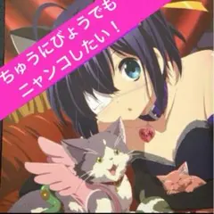 中二病でも恋がしたい！のサムネイル