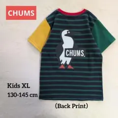 CHUMS/チャムス★キッズ ブービーロゴTシャツ 130-145 XLのサムネイル