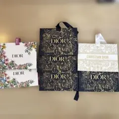 Dior ギフトラッピング用 ショッパー 紙袋 リボン付き　7枚