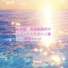 希望額、常識範囲内でコメントください♪ 様専用ページ