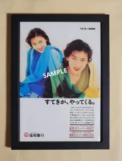 レトロ激レア】中山美穂 ポスター2枚セット