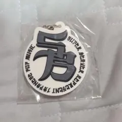 Item thumbnail for item 72036f4c-5426-4efd-8489-3dcb2ac6e9a8