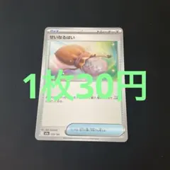 ポケモンカード せいなるはい