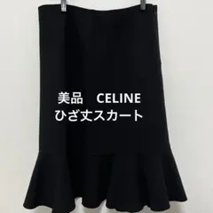 LOEWE ロエベ レディース スカート シアープリーツスカート