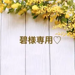 シリコンモールド#