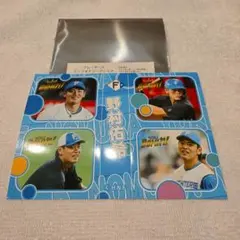 北海道日本ハムファイターズ 野村佑希 ミニフォトシークレット
