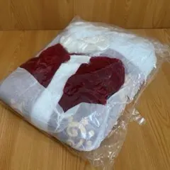 新品未使用 サンタコスチューム 8点セット サンタコス クリスマス イベントのサムネイル