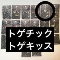 Item thumbnail for item 13f11f9e-8664-4e1c-9b73-0353f6386275