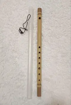 Item thumbnail for item 4e30af4b-1499-4edd-952b-53153eefe7d0