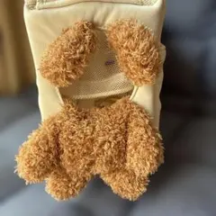 【新品未使用】スリーコインズ 顔出しベアバッグ　ブラウン