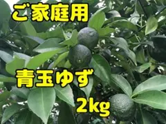 青玉ゆず 2kg ご家庭用のサムネイル