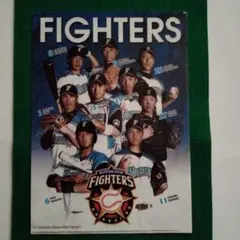 Item thumbnail for item 4eeff834-1d12-4268-bf97-c0845eb3a583