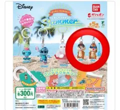 ディズニーキャラクターめじるしアクセサリーSummer チップとデール