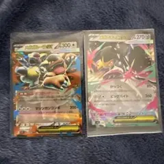 メガガルーラEX & メガクチートEX カード