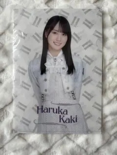 2025年最新】賀喜遥香 クリアファイルの人気アイテム - メルカリ
