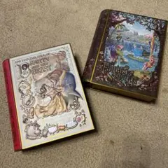 ディズニー⭐︎˚✧₊⁎空き缶 　2個セット　アナ雪　美女と野獣　エルサ　アナ　ベル