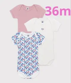 Item thumbnail for item dc5423c0-090a-48df-9462-30f134028fcf