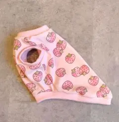 ちゃろん様 リクエスト 2点 まとめ商品