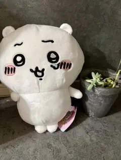 可愛い♡ちいかわ♡ぬいぐるみ
