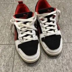 PUMA26.5