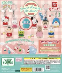 めじるしアクセサリー　サンリオキャラクターズ　オールスターズ ハンギョドン