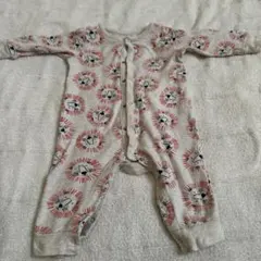 Item thumbnail for item 1d1b075e-1310-4412-bcc5-269eb6ff5901