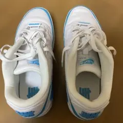 Item thumbnail for item 1ac8623a-f37f-4eda-b643-77de190a3370